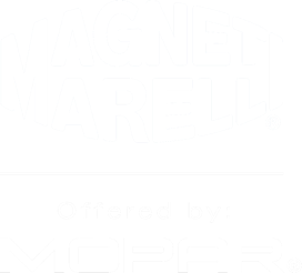 Magneti Mareli